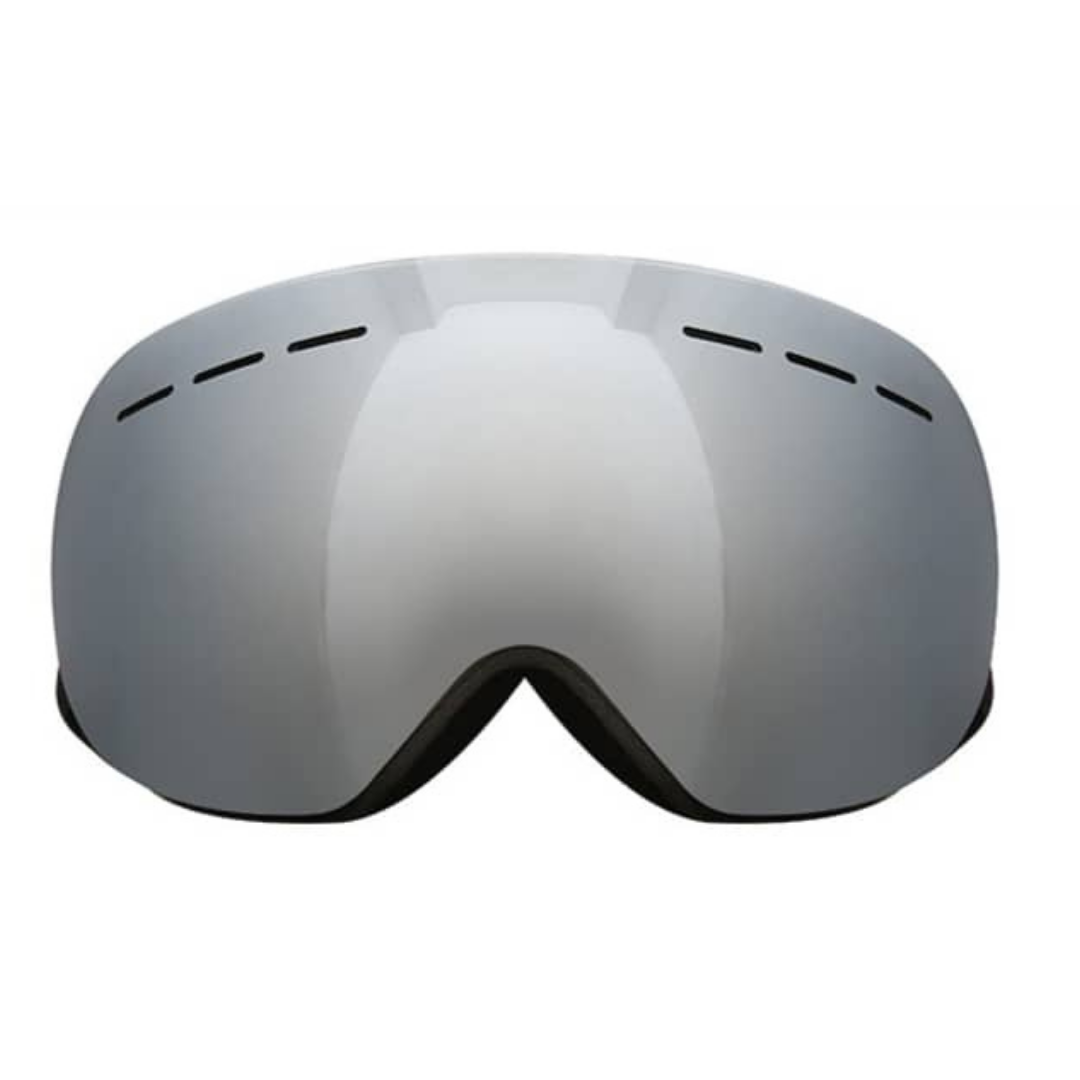 Skii &amp; Snowboard Goggles 06 Adult - Gray/Black